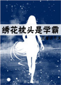 绣花枕头包