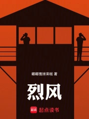 烈风传武将包